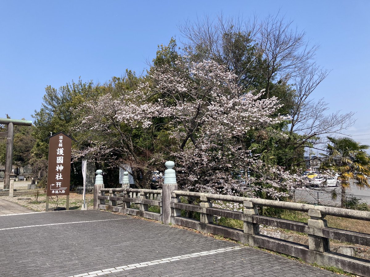 タイガノゾム🐯🎤Virtual 声優Tuber tweet media