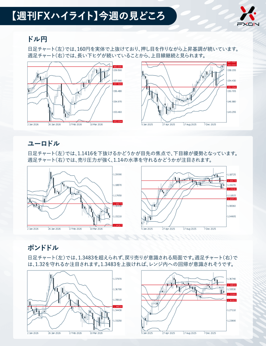 FXON 公式 tweet media