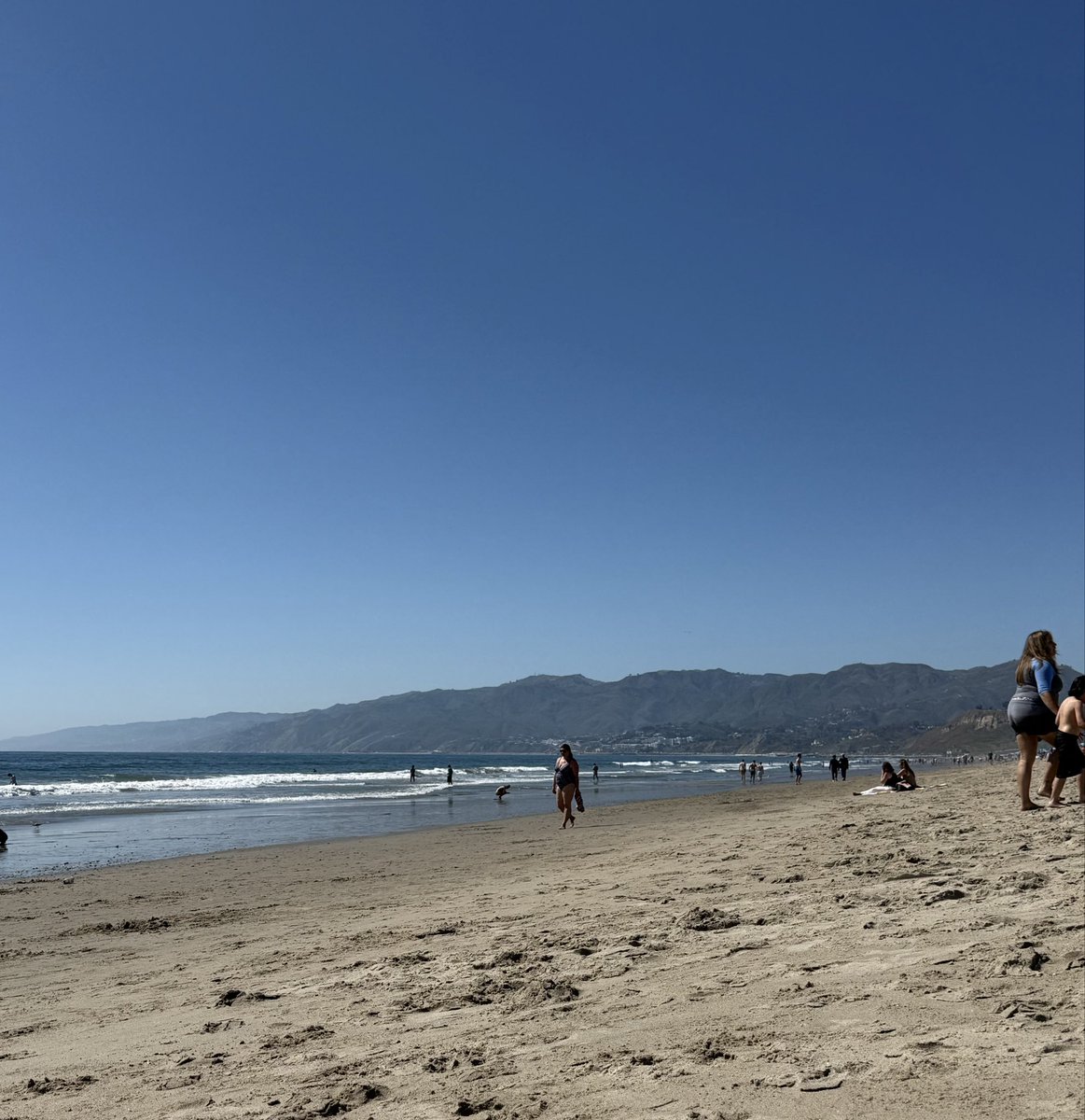 nokae (ed seykota arc) tweet media