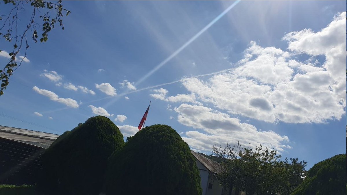 Chook 🇭🇲 tweet media