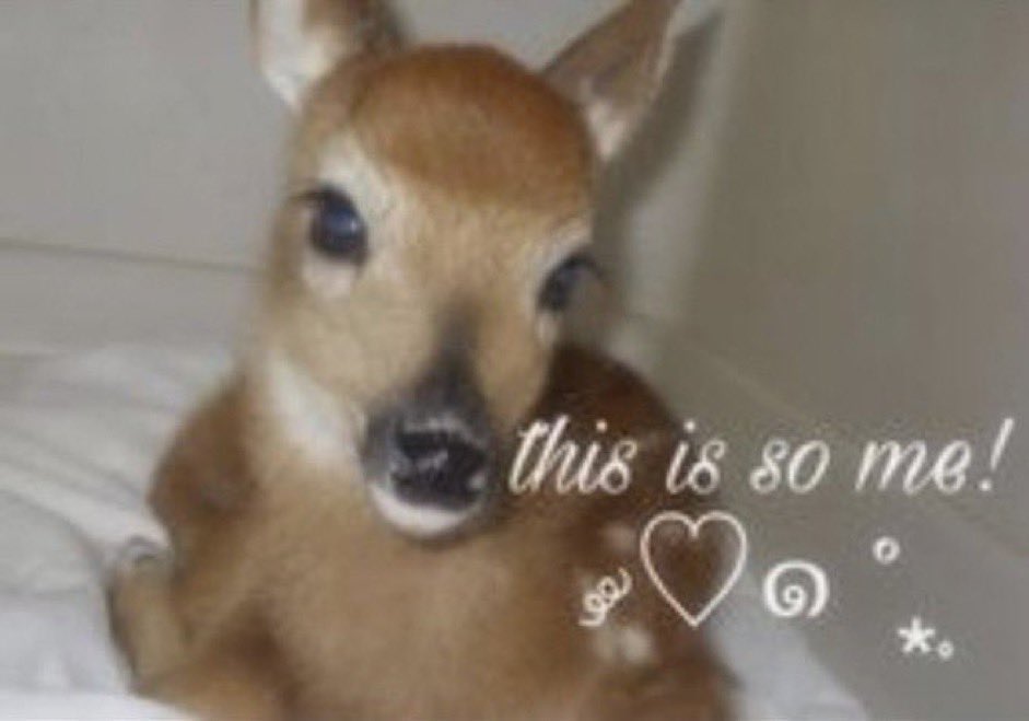 nina 🥤 tweet media