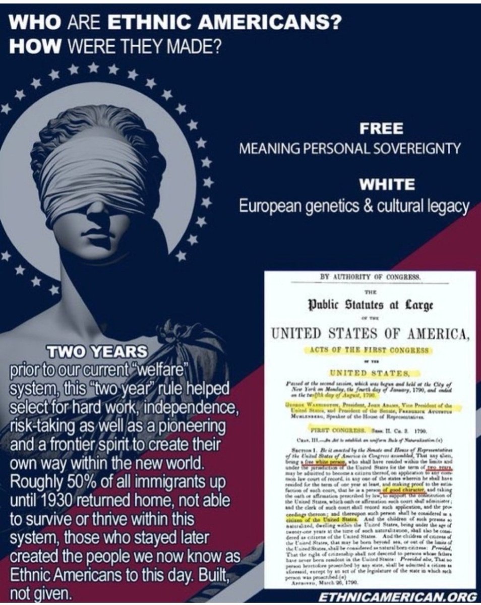 Noogenesis 🇺🇸🇩🇪🇸🇯 tweet media