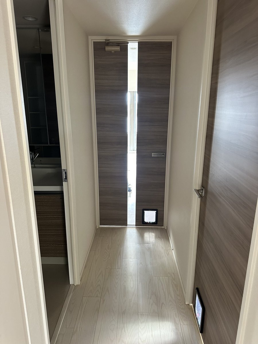 🤝hideplus tweet media