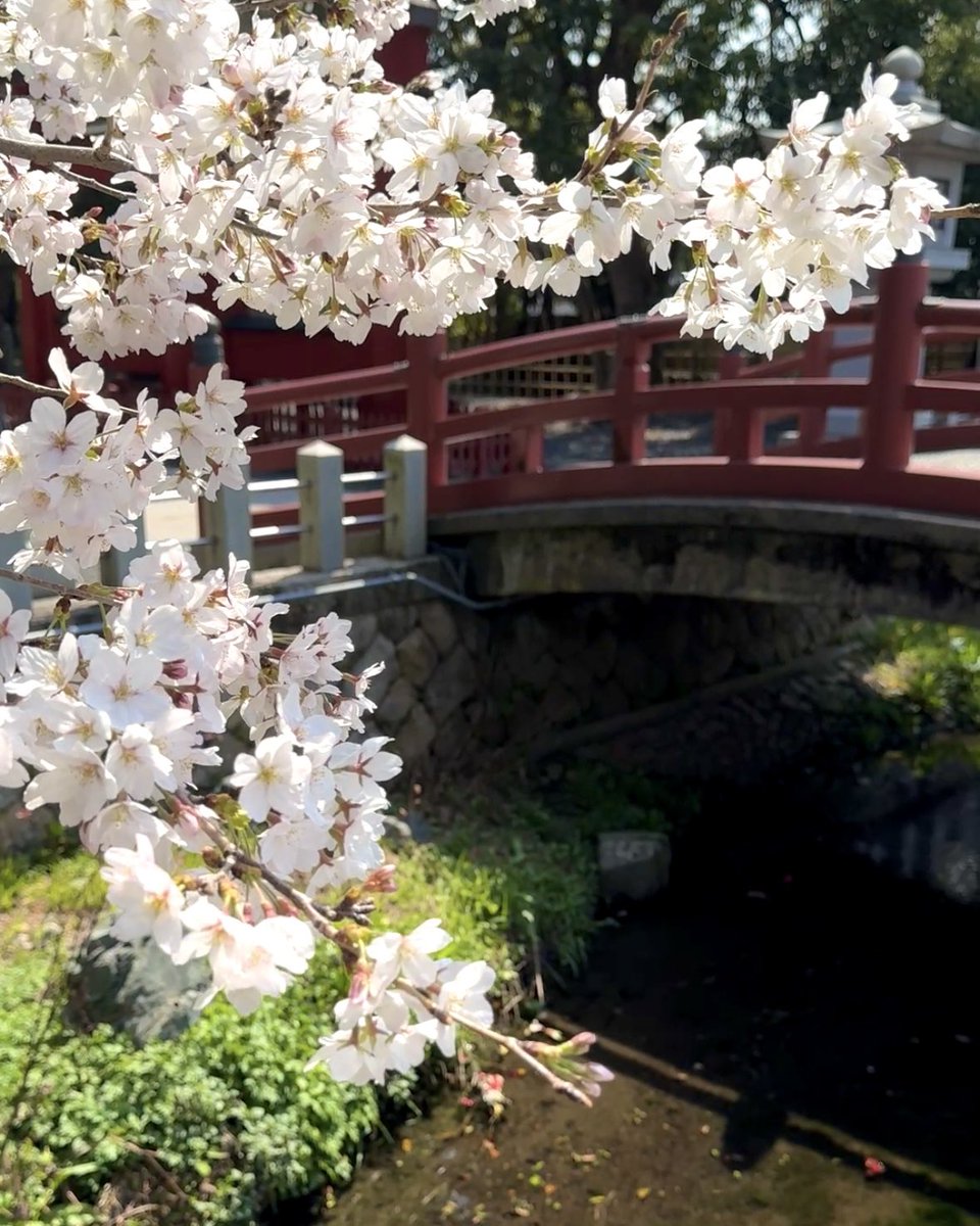 ♯つるがキャンペーン(公式) tweet media