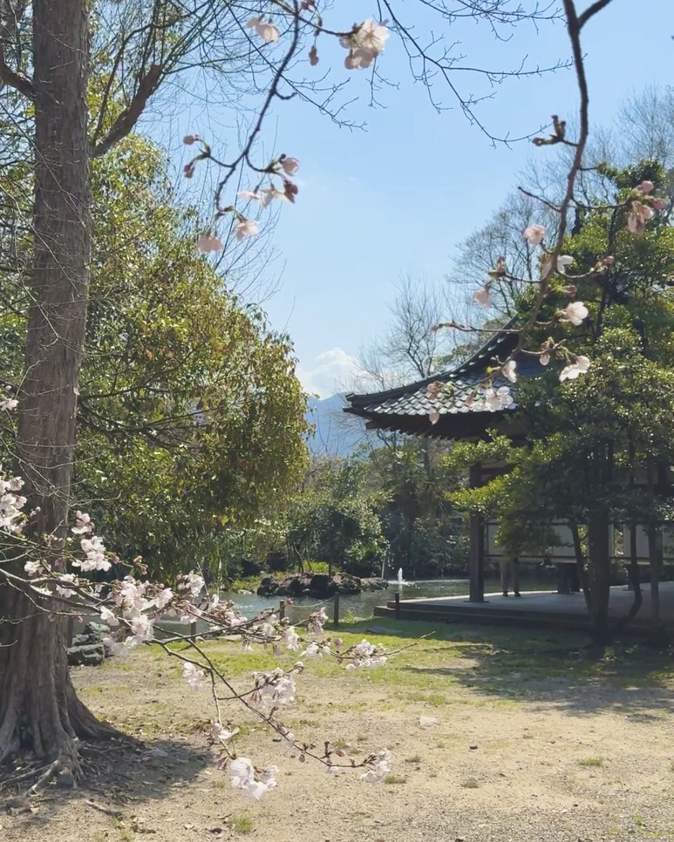 ♯つるがキャンペーン(公式) tweet media