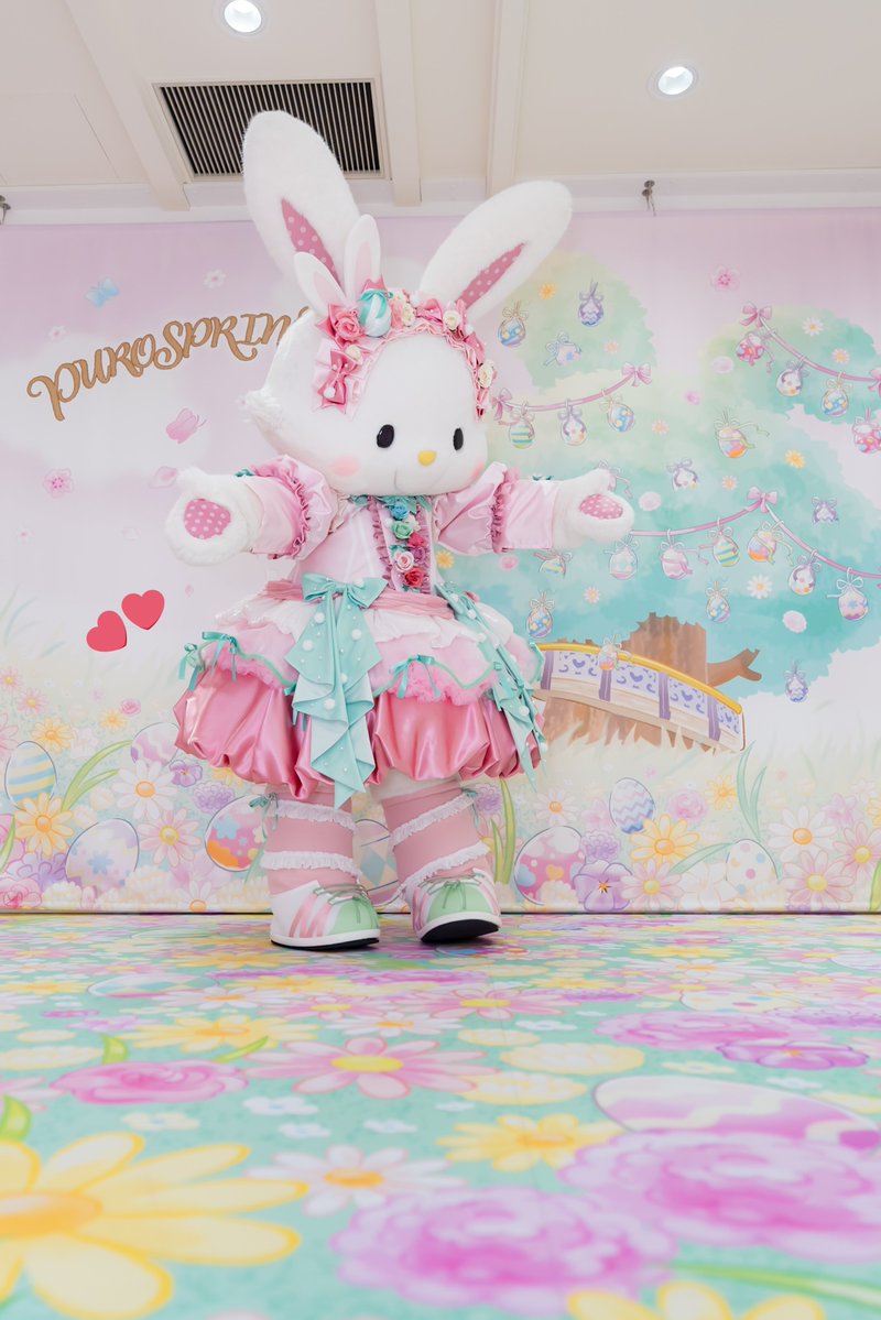 かるは🐰 tweet media