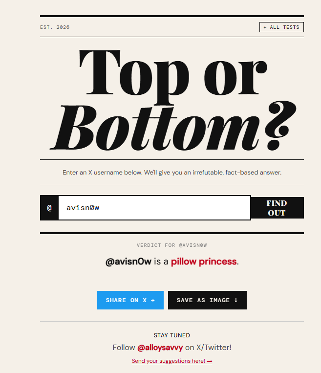 Avi Snow ❄️🐆 Leopard Vtuber tweet media