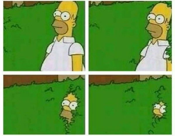 Ribeiro SRN tweet media