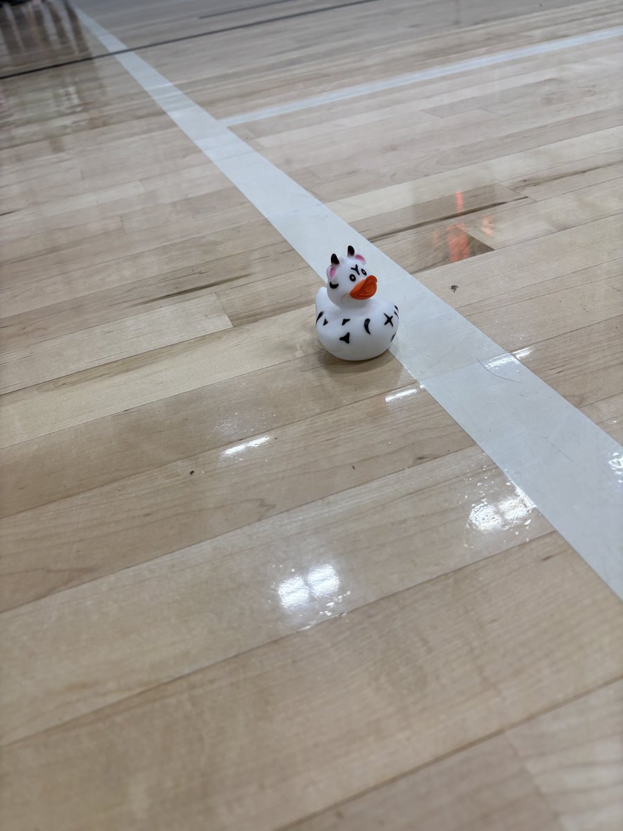 FortZumwalt EarlyEd tweet media