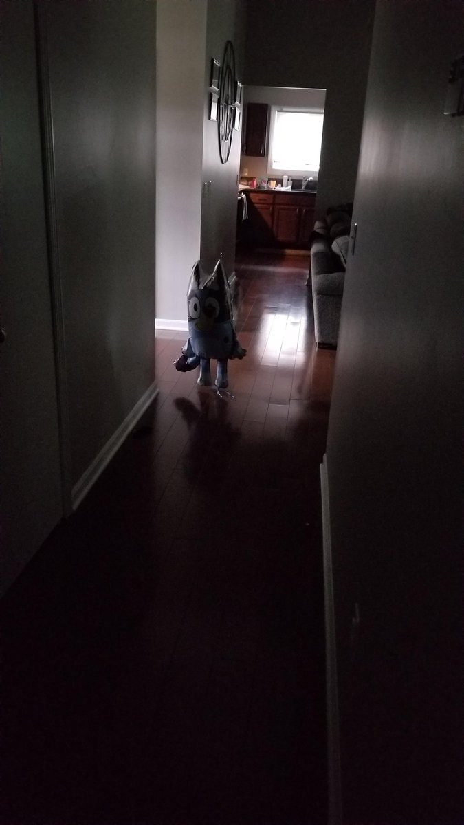 Chunky Labrador (COMMS OPEN) tweet media