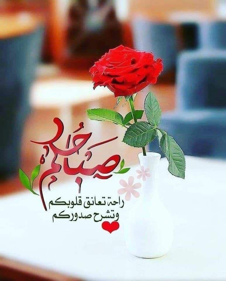 #صباح_الخير_والسعادة 
#صباح_الأشياء_المُشرقة 
#صباح_آلخيــــر 

من ساقه الحظّ لين يصبّح بوجهك
يُشوف خير الصـّباح اللي يقولونه♥️

صباح الخير🌺