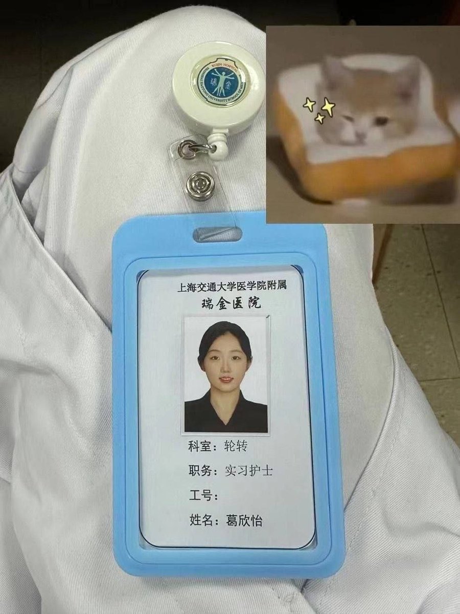 911 Gossip - 丽丽 tweet media