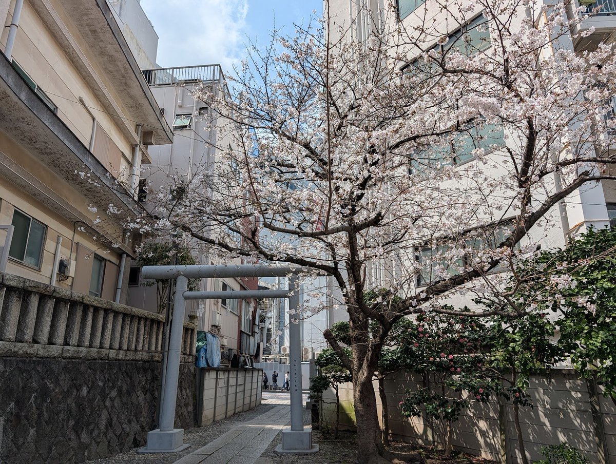 Ryuma Hori tweet media