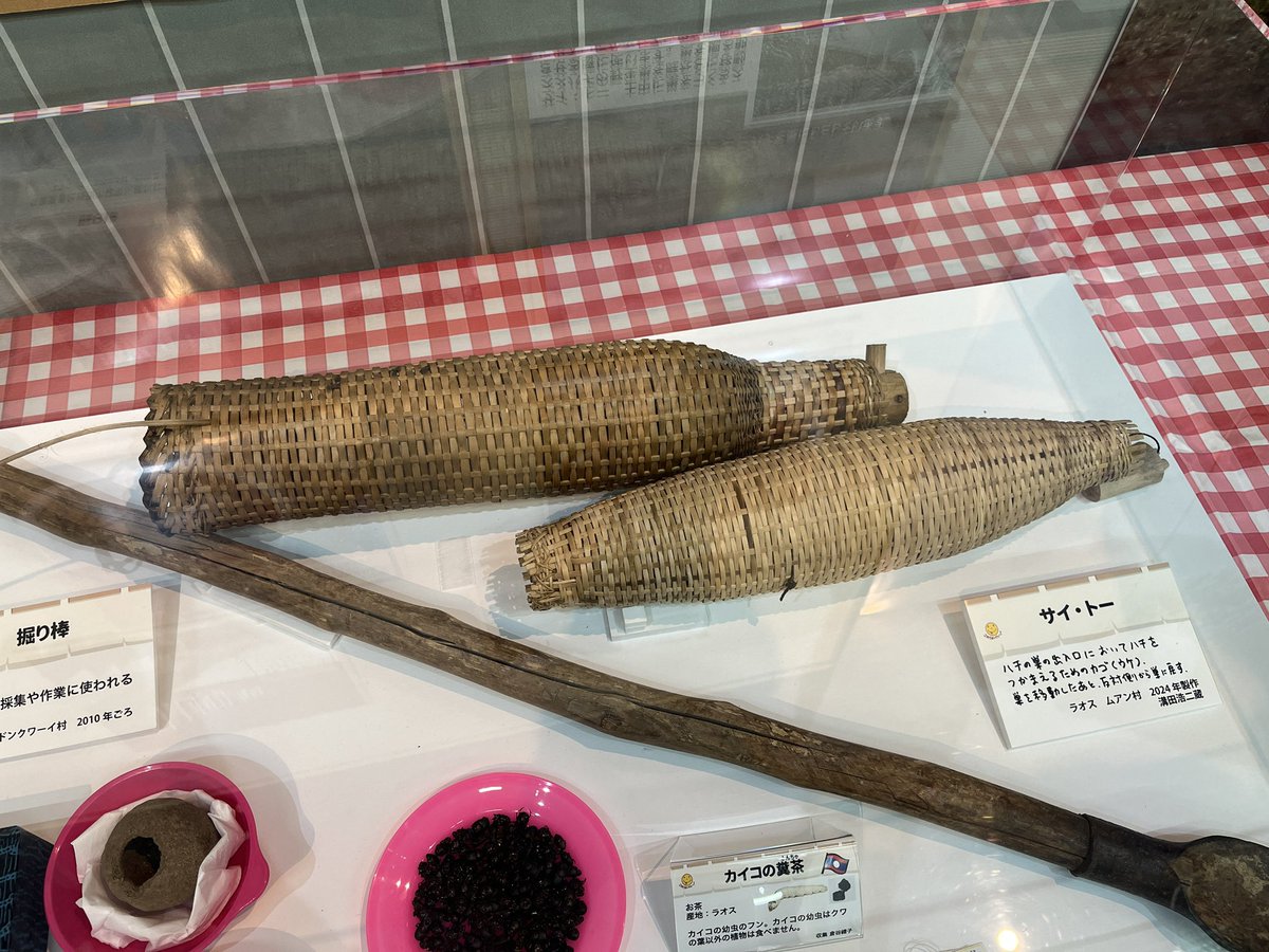 伊丹市昆虫館（公式） tweet media