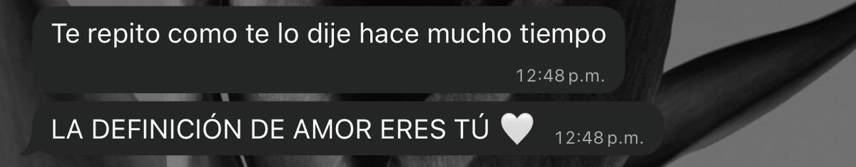 laurareyes01's tweet photo. Te amo 🤍 https://t.co/fwsw0UiemN