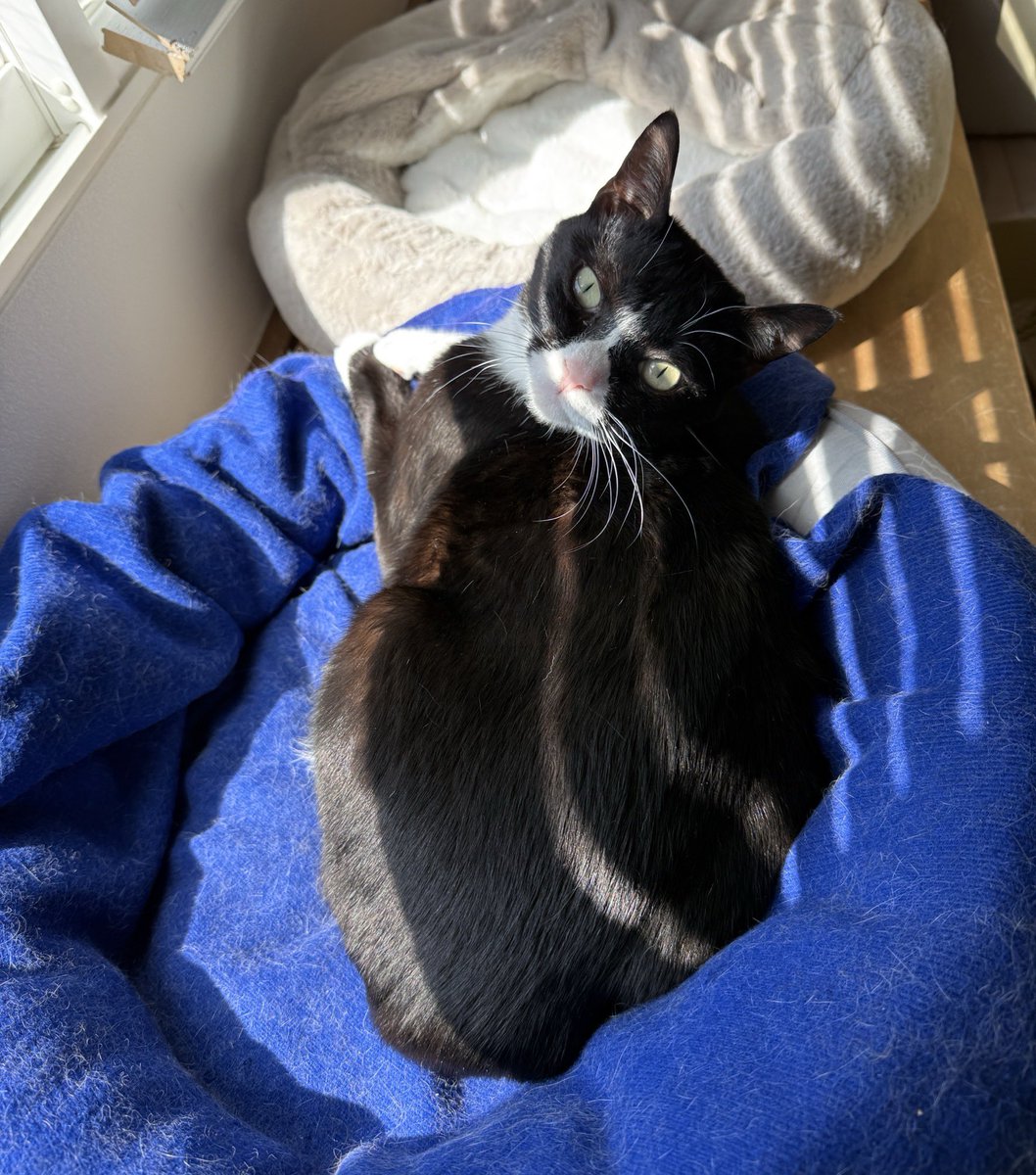 アンとミシェル Anne & Michelle tweet media