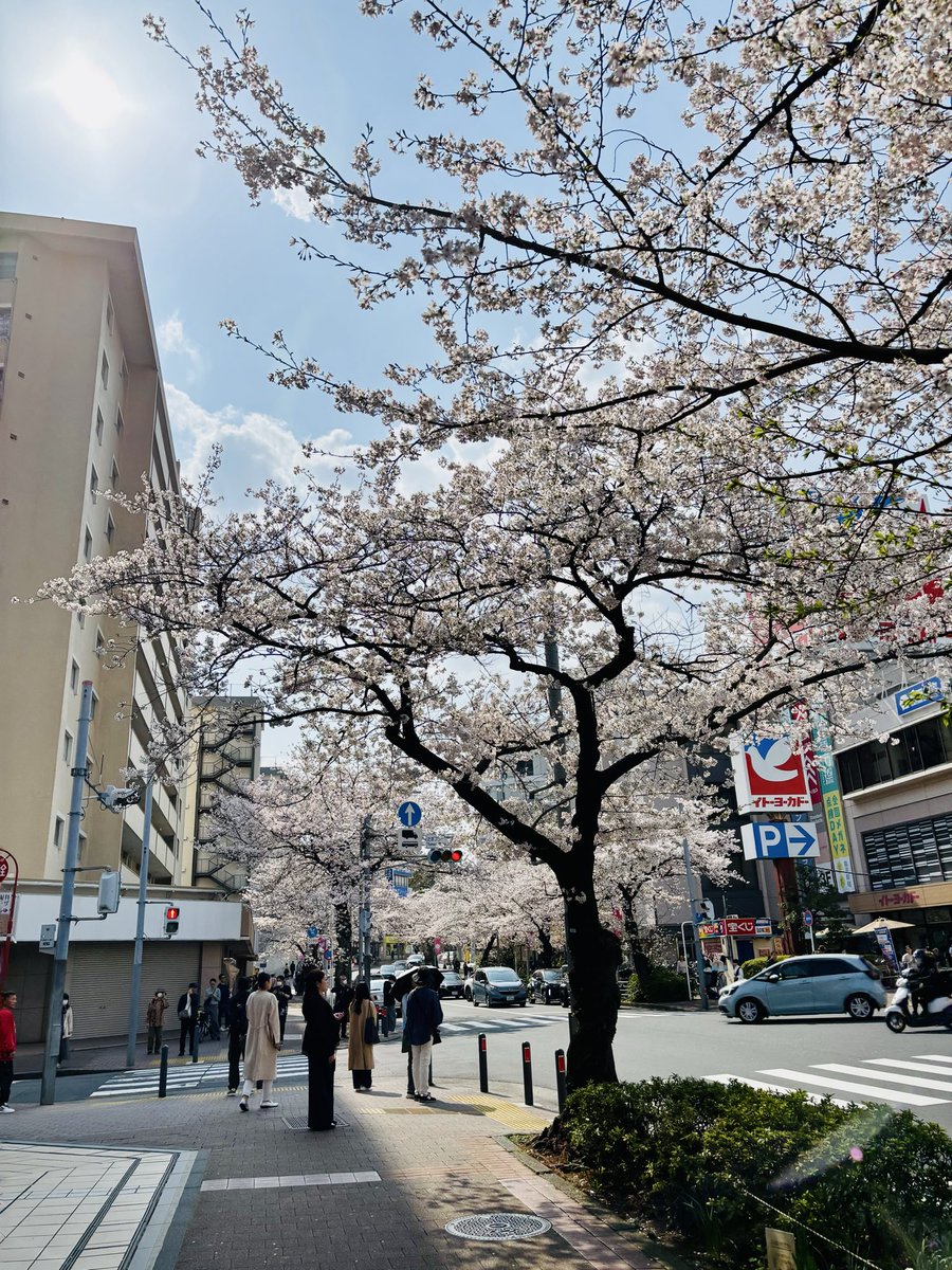 鈴木ナオコ | KG+(4/18-26) tweet media