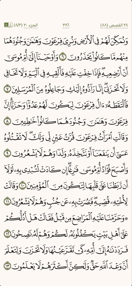 كل يوم صفحة tweet media