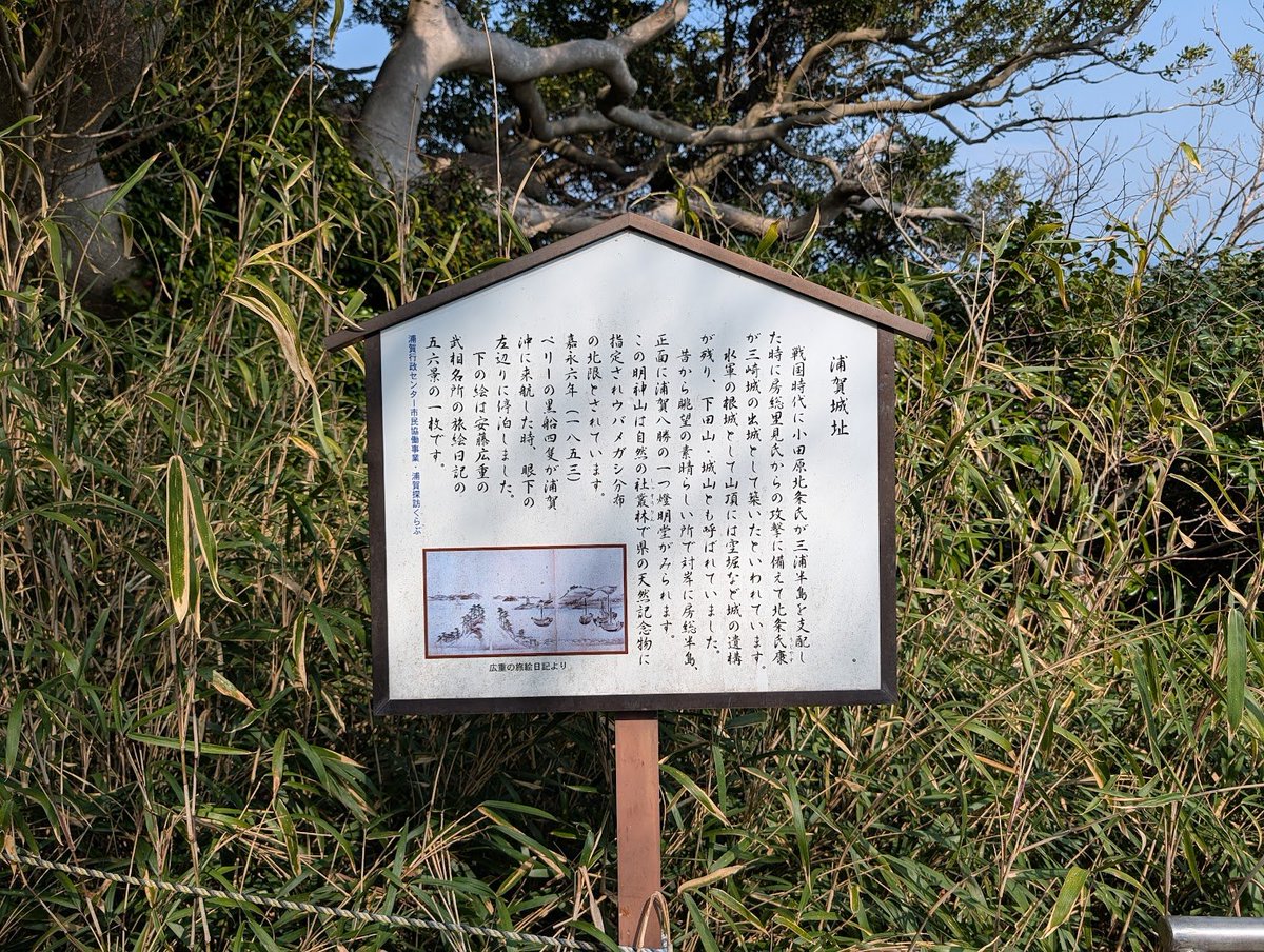 Ryuma Hori tweet media