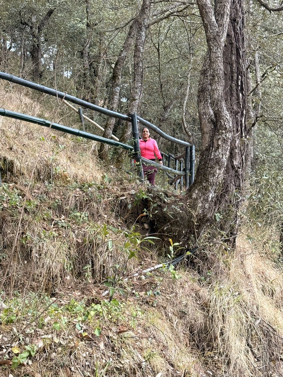 sonalgoelias's tweet image. Morning Trails 🌿

#Peace #Calm 
#Serenity 🌸