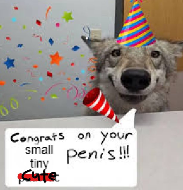 Vivi!!!!! tweet media