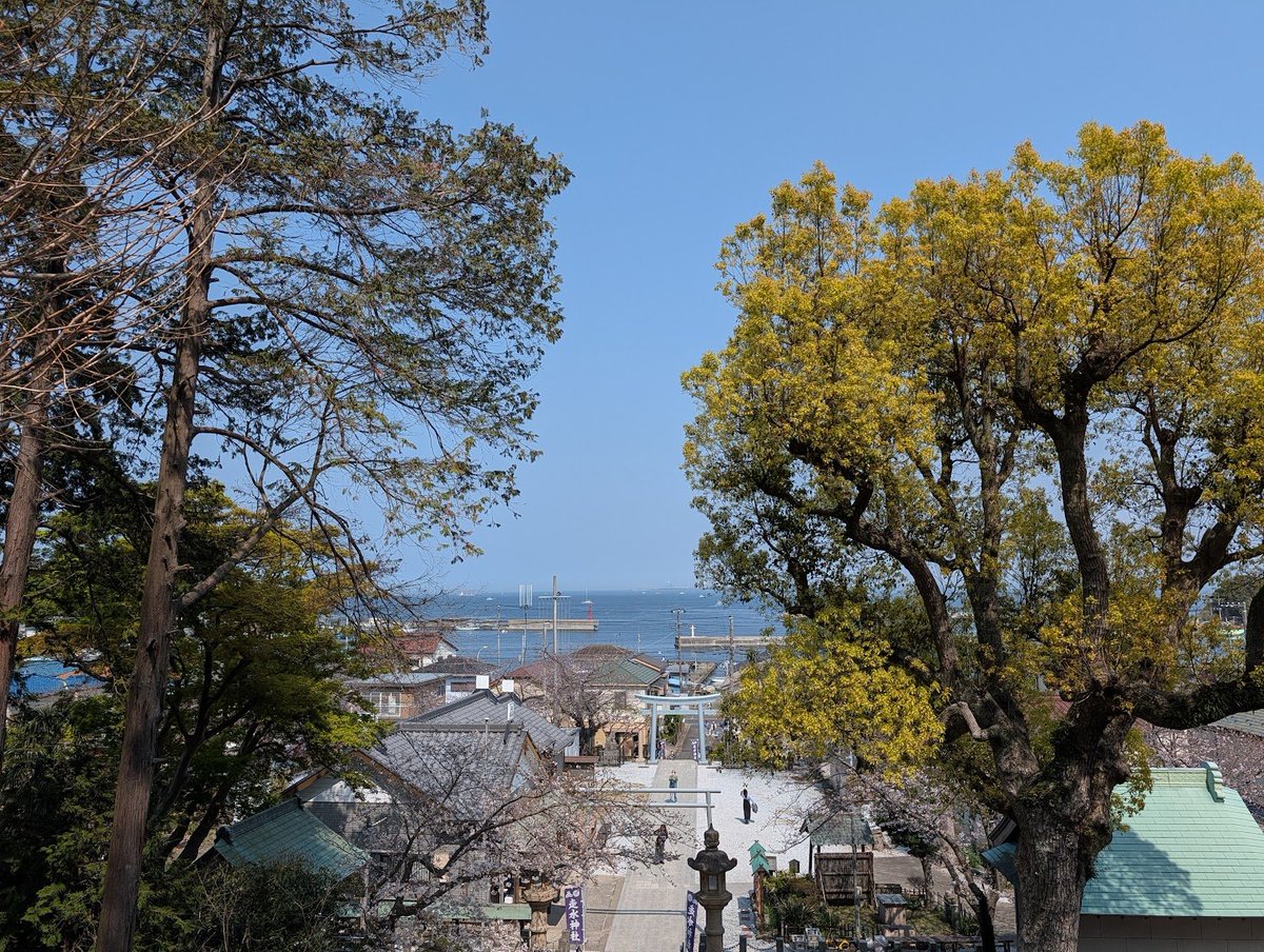 Ryuma Hori tweet media