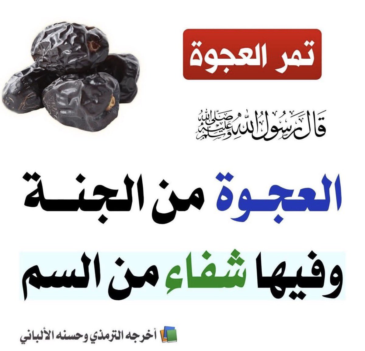 مسفر عبدالعزيز بن مبّشر tweet media