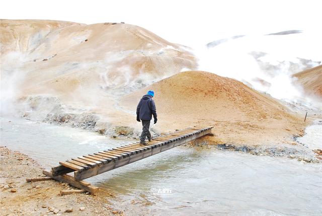 Layla Fok tweet media