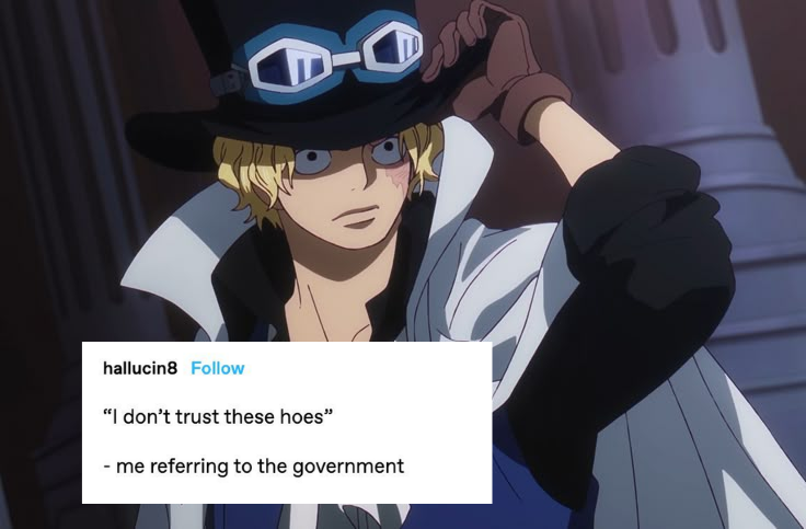 straw hat fuly tweet media