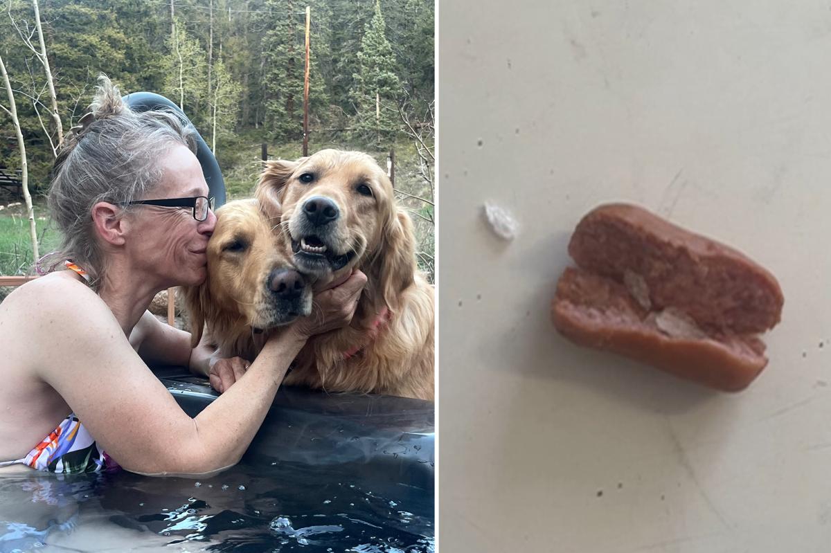 nypost's tweet photo. Colorado dogs poisoned after eating meth-laced hot dogs found tossed in family yard https://t.co/YiUbiyGGz9 https://t.co/h24wi62bnh