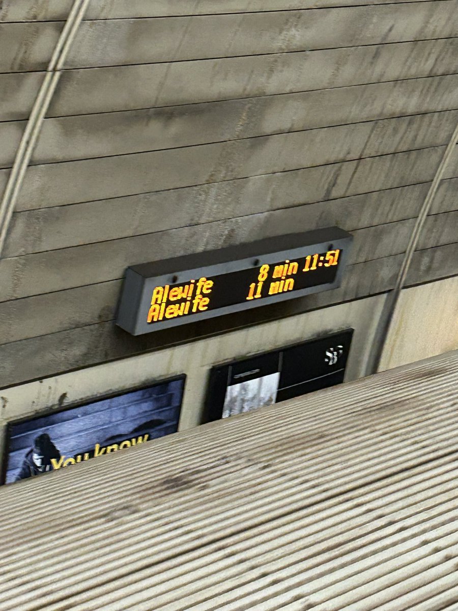 🎐🪽🐟🌐 tweet media