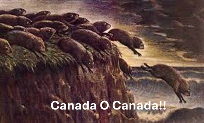 MegaMaga tweet media