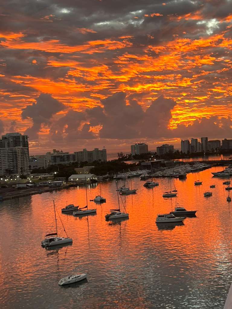 DavidRoyNewby tweet media