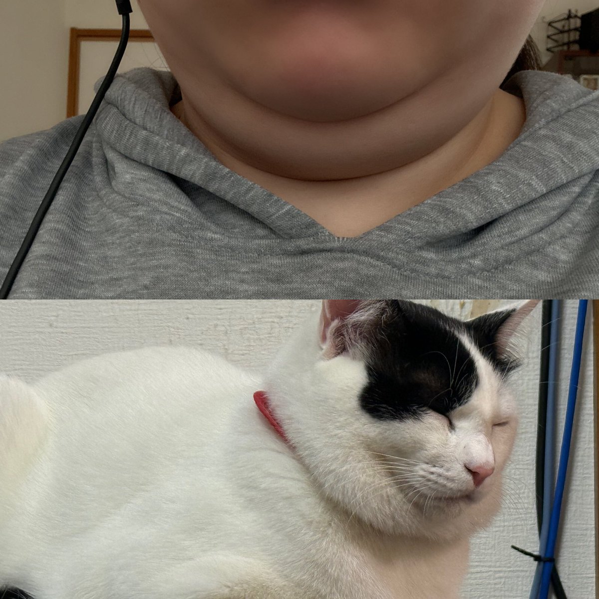 汐吹あすか🧂ω4月19日生誕祭 tweet media