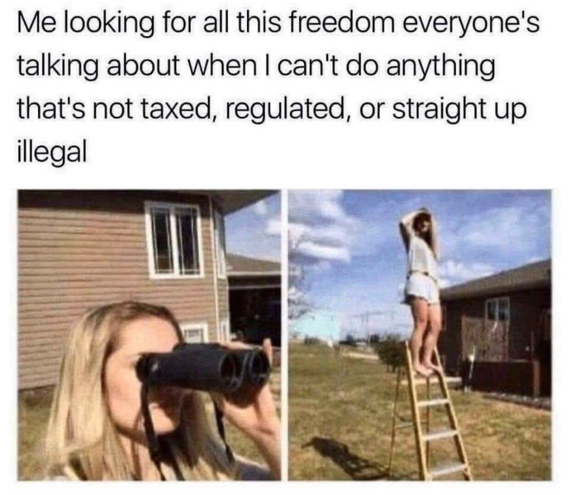 Giga Based Dad tweet media