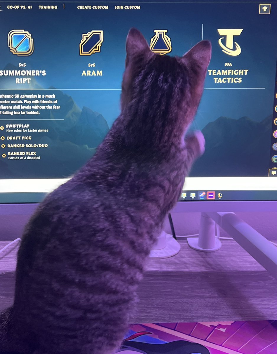 katdragonz 🌸💜 tweet media