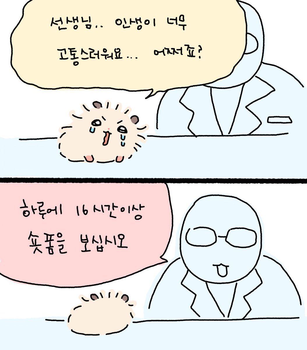 꼬질햄 tweet media