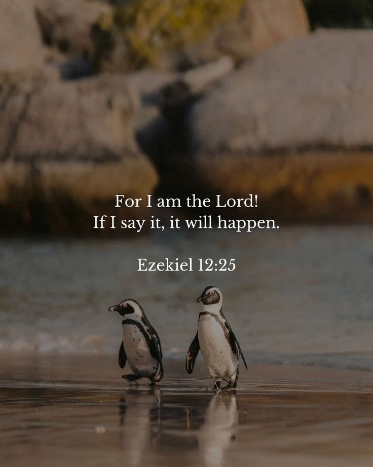 Jesus Loves You tweet media