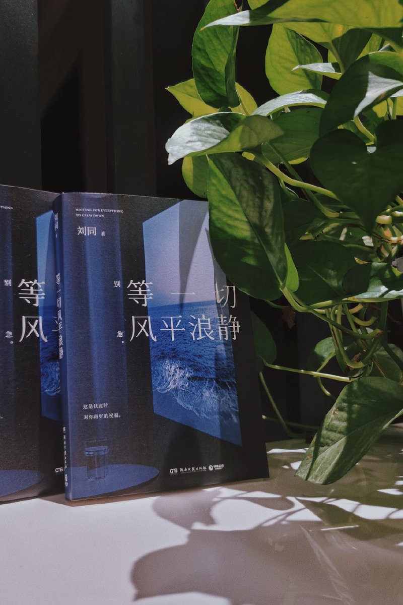 Rebekah Pickar tweet media