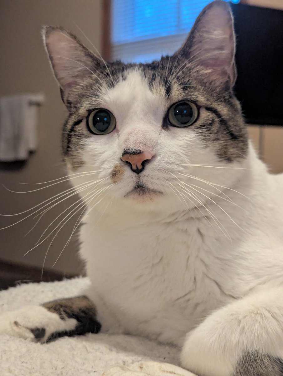 Marie Appreciator tweet media