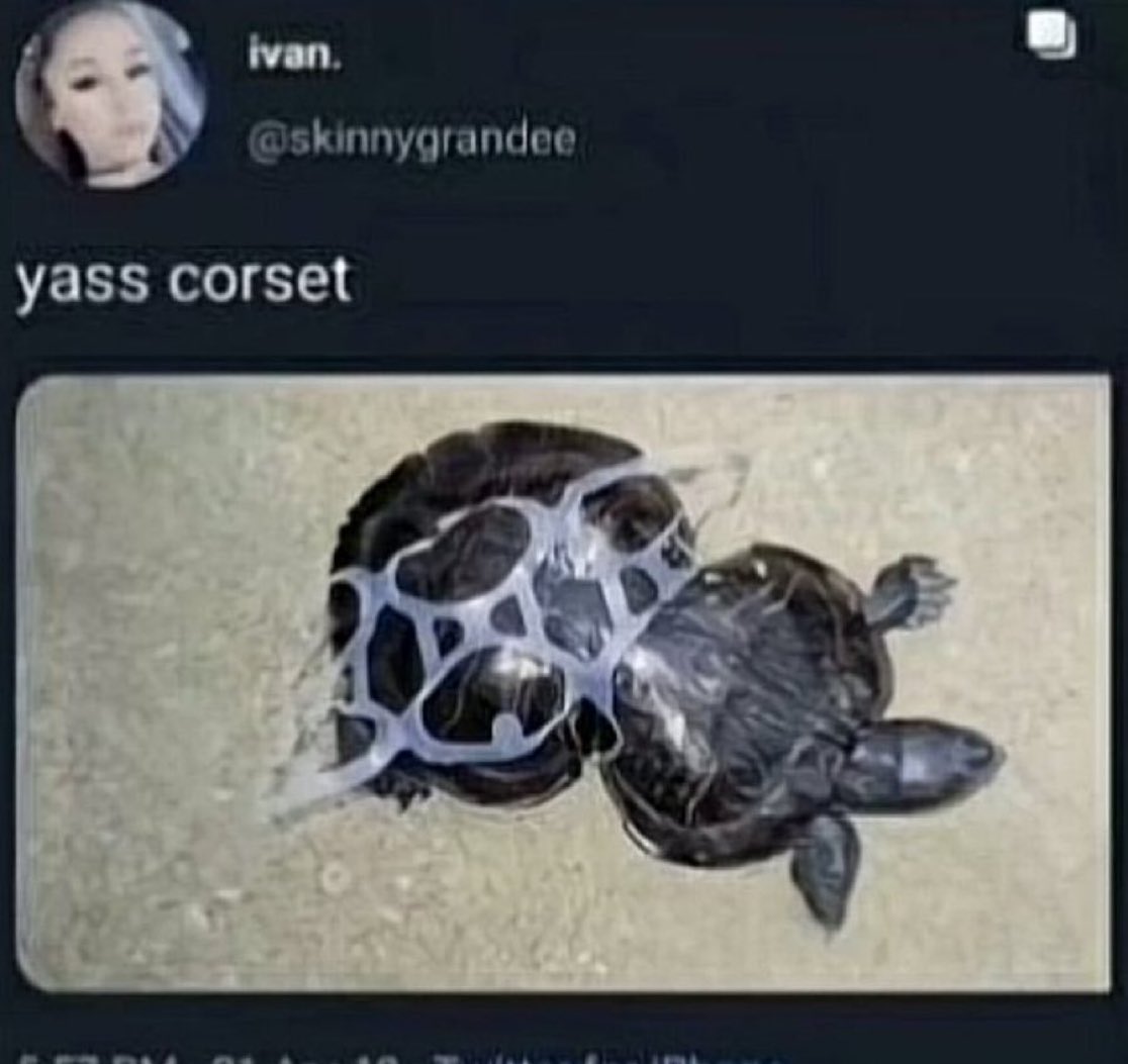 WOR$T ENDER IN AMERICA tweet media