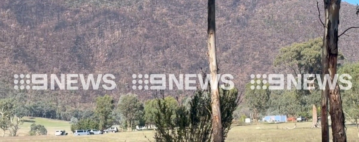 Peak Hour Images tweet media