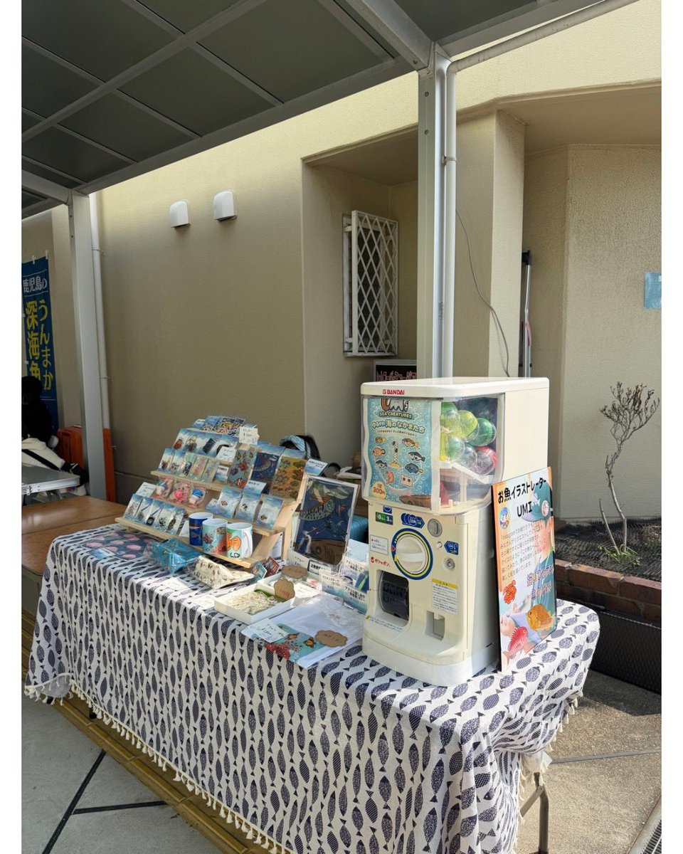 ミトスイの深海魚タッチ
たくさんの出会いに感謝です！
物販でもたくさんのお迎えありがとうございます。
またお会いできるのを楽しみにしています☺️🐟

<a href="/samejin_mhs/">【MITOSUI〜東大阪ミニミニ海洋博〜】</a> 
#深海魚タッチ
#深海魚
#魚グッズ
#サメ