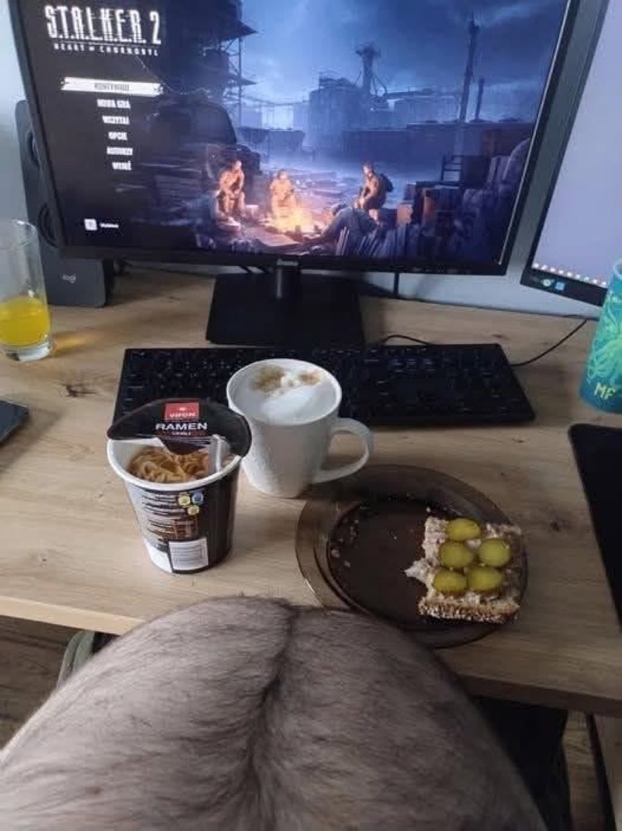 President-Elect Toguro tweet media