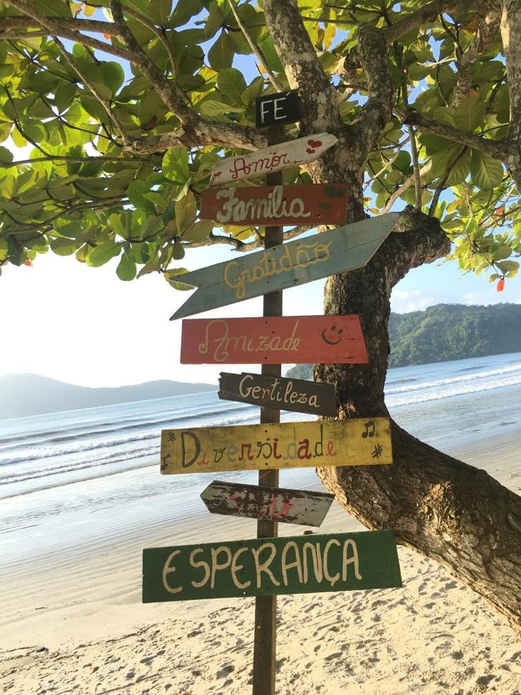 Andyy📍jurídico do hudson‼️ tweet media