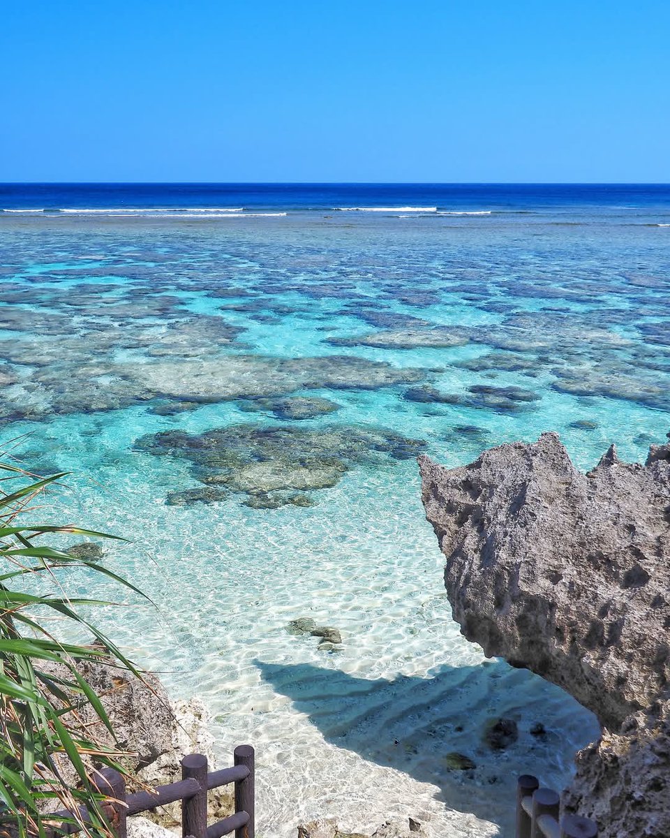 Travel Diaries tweet media