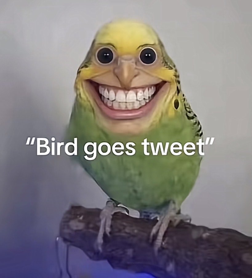 𝑀𝑖𝑛ℎ𝑎𝑗𝑢𝑙 𝐴-𝑅. tweet media