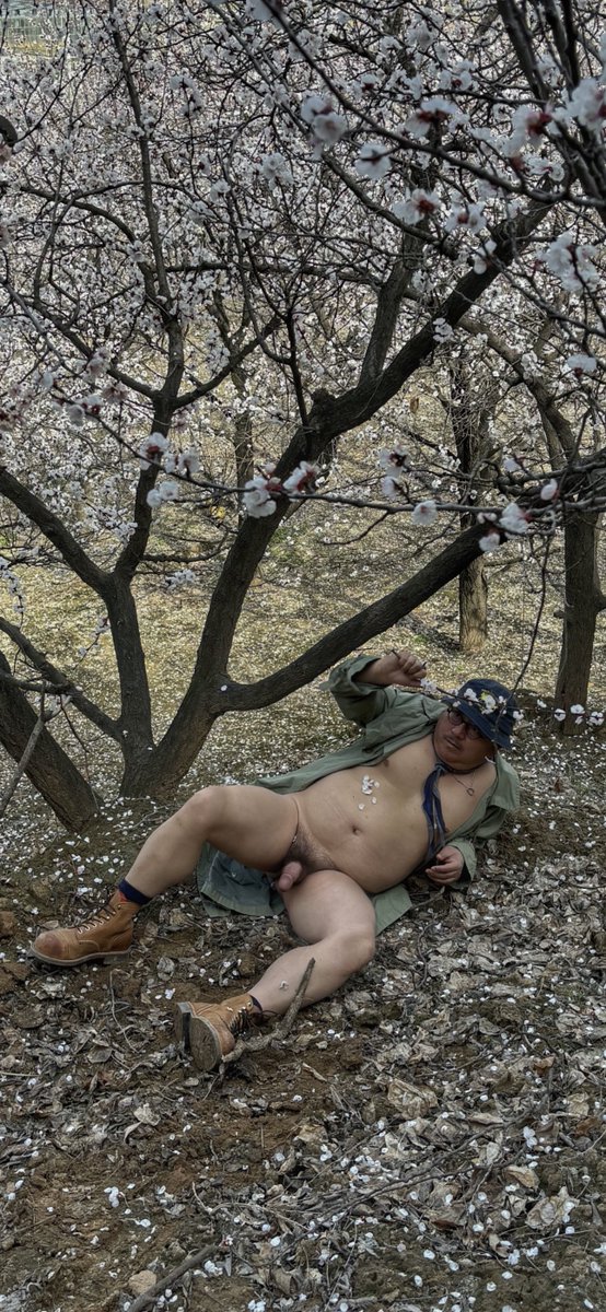 针叶林的世界 tweet media