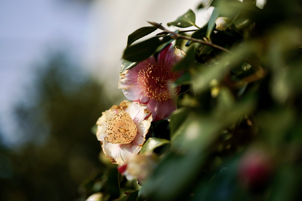 鈴木ナオコ | KG+(4/18-26) tweet media