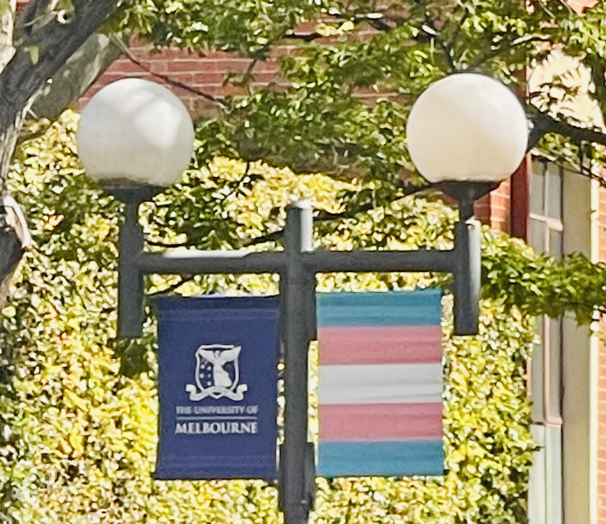 Evidence Based Treatment tweet media